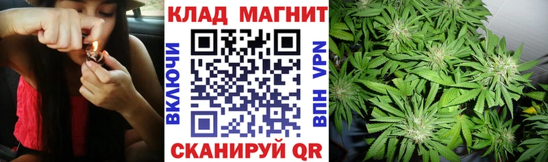 Наркошоп купить КОКАИН  МЕФ  Галлюциногенные грибы  Марихуана  СОЛЬ  Макушино