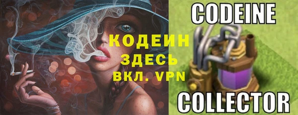 прущий лед Богданович