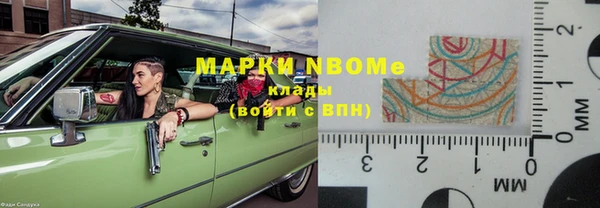 индика Богородицк