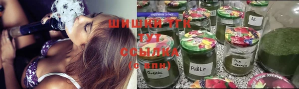 индика Богородицк