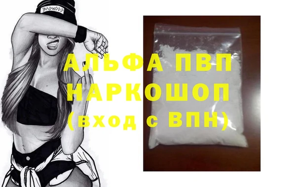 индика Богородицк