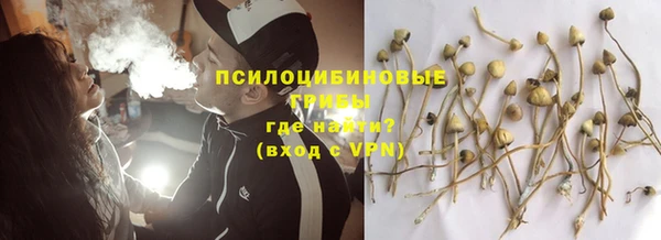 тгк Богородск