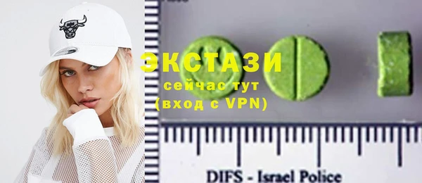 индика Богородицк