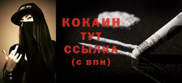 индика Богородицк