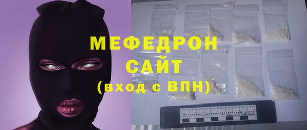 индика Богородицк