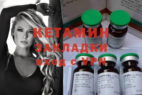 индика Богородицк