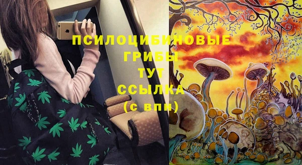 трава Белоозёрский
